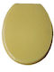 Eurocasa Acrylic Beige Toilet Seat 202