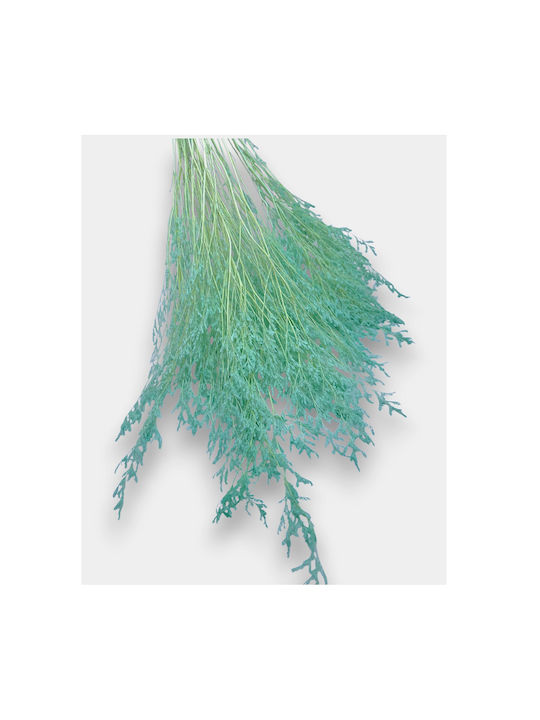 Bouquet of Dried Juniper Branches 80cm L127me Rin-l127me
