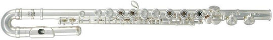 Roy Benson Fl-402r2 Flute Open Hole Inline G