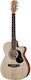Maton J.r. Signature
