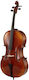 Gewa Allegro Vc1 Cello 1/16