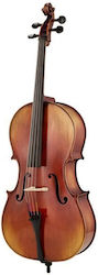 Gewa Allegro Vc1 A Cello 1/2 Mb