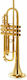 Adams A6 Brass 045 Selected Lacquer