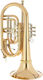 Schagerl Bass Trumpet Wunderhorn V Raw