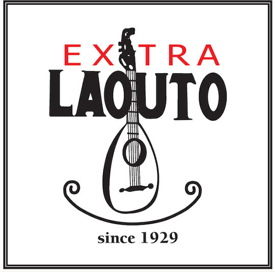 Extra Lute Single String 0 17"