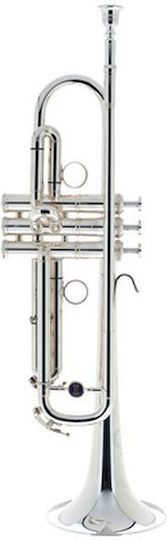 B&s Pbb-s Personality B Braune Trompeten