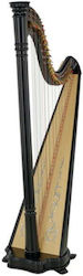 Salvimar Ana 34 Strings