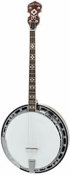 Gold Tone Ts-250 Tenor Banjo W Case