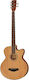 Harley Benton B-35nt Acoustic Bass Series
