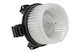 NTY Car Bodywork Spare Part for Toyota Yaris / Verso