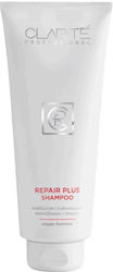 Clarite Σαμπουάν Αναδόμησης/Θρέψης 400ml