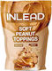 Inlead Nutrition Biscuits Oats With Topping Sugar Free Vegan 1pcs 150gr