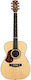 Maton Ebg808 Tommy Emmanuel Für Linkshänder