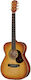 Maton Ebg808 Nashville