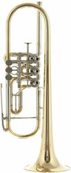 Peter Oberrauch Venezia Trumpet Bb 11,05 Raw