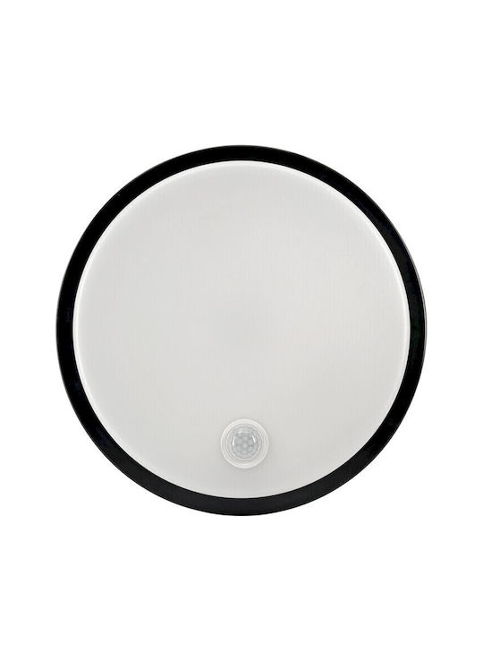 Geyer Стенно Външно Осветително Тяло LED IP65 10W