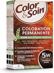 Color & Soin Златисто кафяво