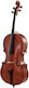 Edgar Russ Sound Cremona Linea Macchi Violoncel Montagnana