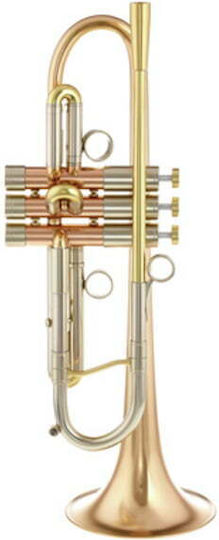 Adams A4 Gold Messing 040 Ausgewählt Trompeten