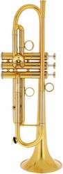 Adams A1 Brass 050 Ausgewählte V2 Trompeten