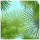 Party-Servietten Designs 33x33 cm Set 20 Stück Under Palmtree