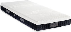 Orion Strom 875 Filoxenia Absolut Memory Gel Sc...