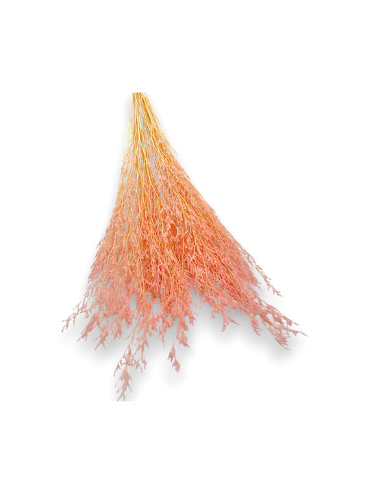 Bouquet Dried Juniper Branches Pink 80cm L127r Rin-l127r