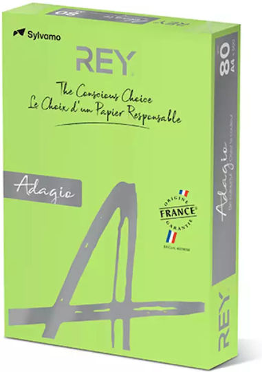 Rey Adagio Printing Paper A4 80gr/m² 500 sheets Green