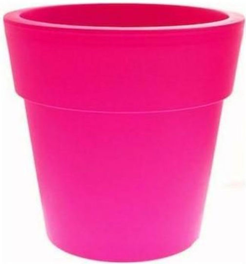 Rose Flower Pot Rose Flower Pot