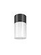 Willis H14 Aluminum Ceiling Light Maytoni O418cl-01b Black