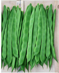 Φασόλι Καθιστό Atlanta 1 Kg Φασόλι Καθιστό Atlanta 1 Kg