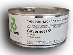 Σπόροι Μαρούλι Cavernet Rz 5000 Pellets