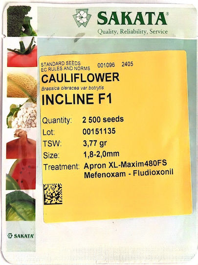 Hybrid Blumenkohl Saatgut Incline F1 2500 Samen