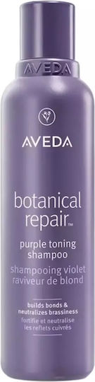 Aveda Botanical Sampon de par for Deteriorat Hair 1x200ml