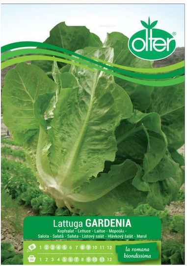 Маруля Lattuga Gardenia Семена 1 Бр