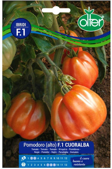 Tomate Cuoralba F1 Saatgut 1 Stück