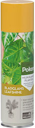 Leaf Shine Pοκον 600ml