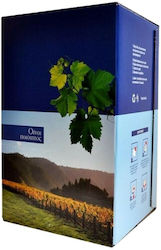 Carton Bag Wine 10lt 1pc