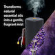 Essential Air Mist Συσκευή Διάχυσης Αιθέριων Ελαίων Αρωματισμού Δωματίου