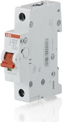 Allgemeiner Schaltpaneel-Druckknopfschalter 1p ABB 32A Sd201-32 Allgemeiner Schaltpaneel-Druckknopfschalter 1p ABB 32A Sd201-32