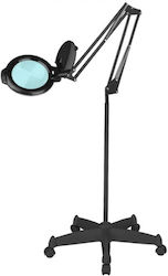 Lentilă de Mărire cu Iluminare LED și Bază Trotineta Lentilă de Mărire cu Iluminare LED și Bază Trotineta