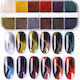 Case 12 Cat Eye Effect Powders Use Gel Acrylic Gel Acrylic