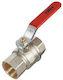 Ball Valve M-F 1 Ntm