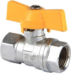 Female Female 3/4 Butterfly Valve