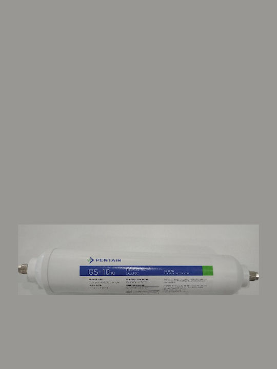 Pentair Gs-10ro Activated Carbon Replacement Water Filter for Refrigerator
