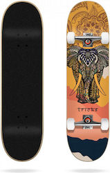 Tricks Mandala 7.87" Complete Skateboard