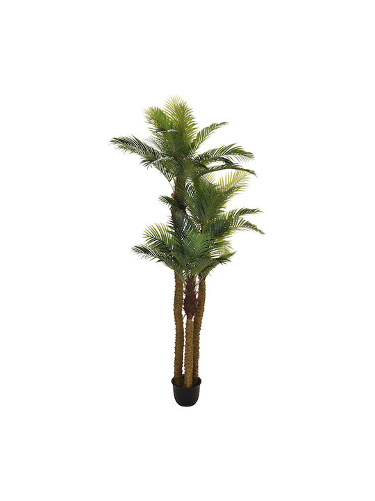 Dekorative Künstliche Pflanzen & Kasten Künstliche Palme 300cm 318000170 Box37211 Niederlande 318000170