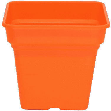 Serinova Topf Orange