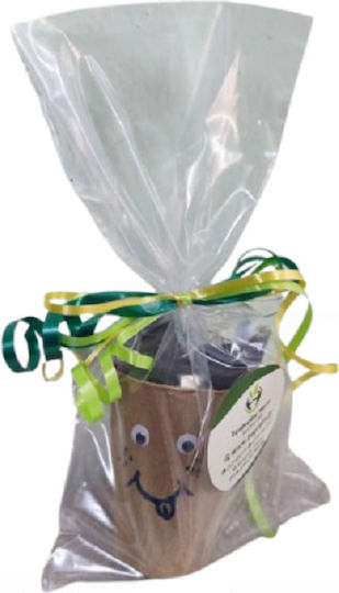 Small Gift Smile-Biodegradable Pot 9x7cm Ready to Sow Plant Soil Seed Attached Googly Eyes Hand-Painted Smile Instructions
