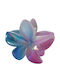 Pink/Blue